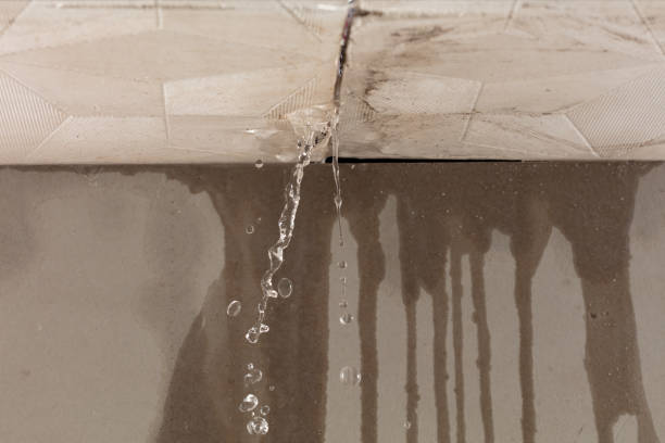 Professional Structural Drying technician working in Placerville, CA
